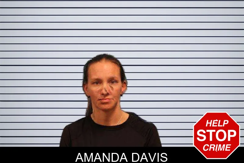 Amanda Davis Mugshots