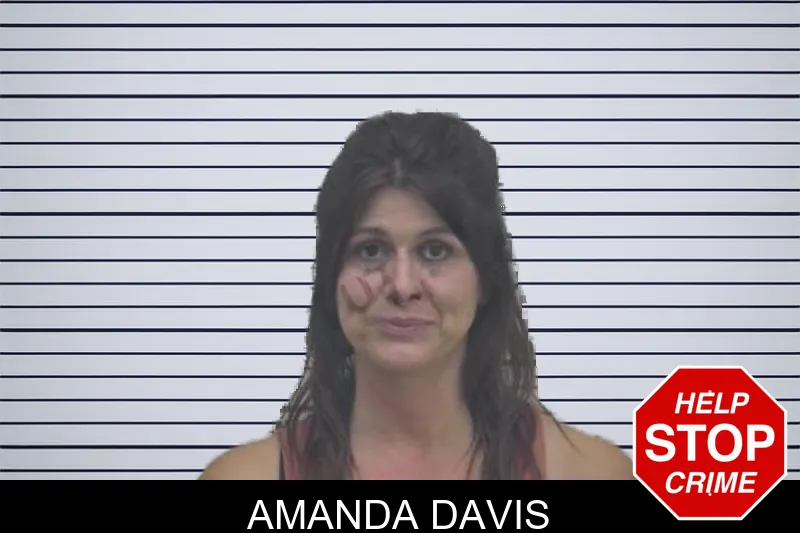 Amanda Davis Mugshots