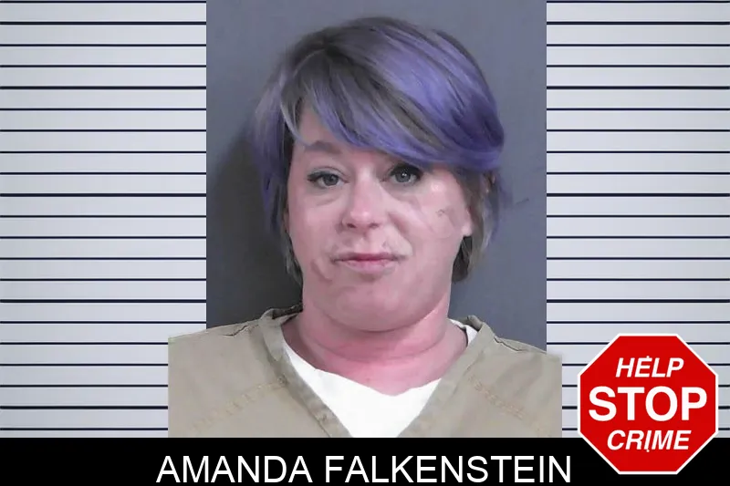 Amanda Falkenstein mugshot