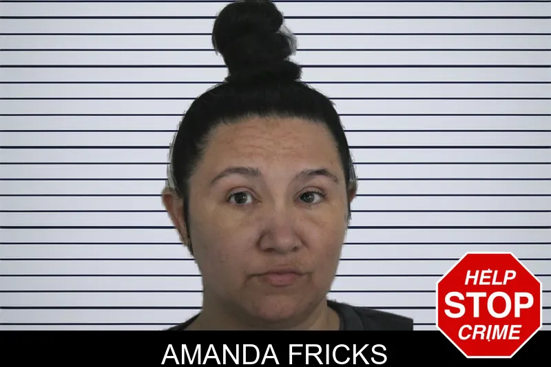 Amanda Fricks Mugshots
