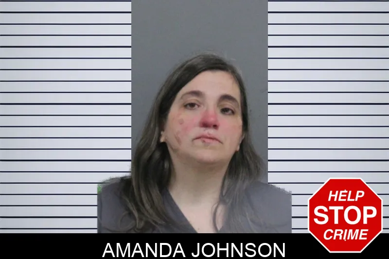Amanda Johnson mugshot – Catoosa County , Georgia Amanda Johnson mugshot