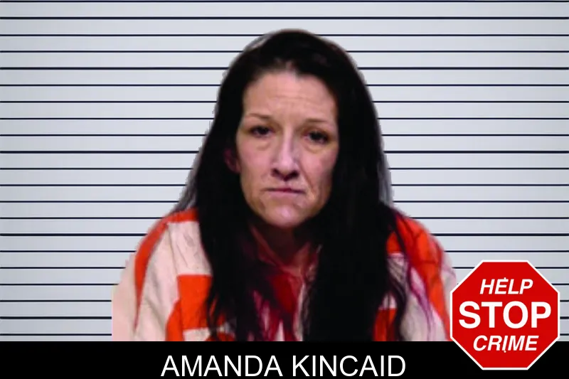 Amanda Kincaid mugshot – Bartow County , Georgia Amanda Kincaid mugshot