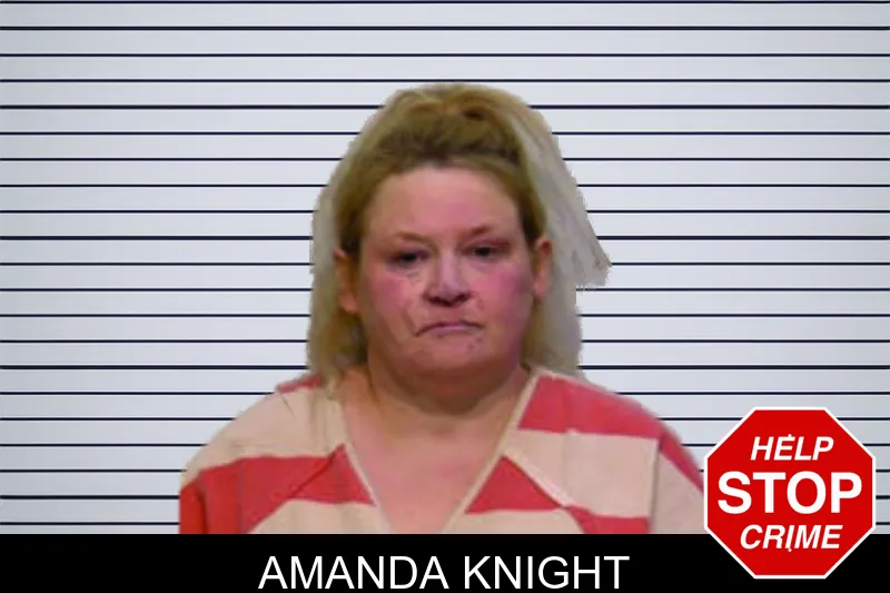 Amanda Knight mugshot