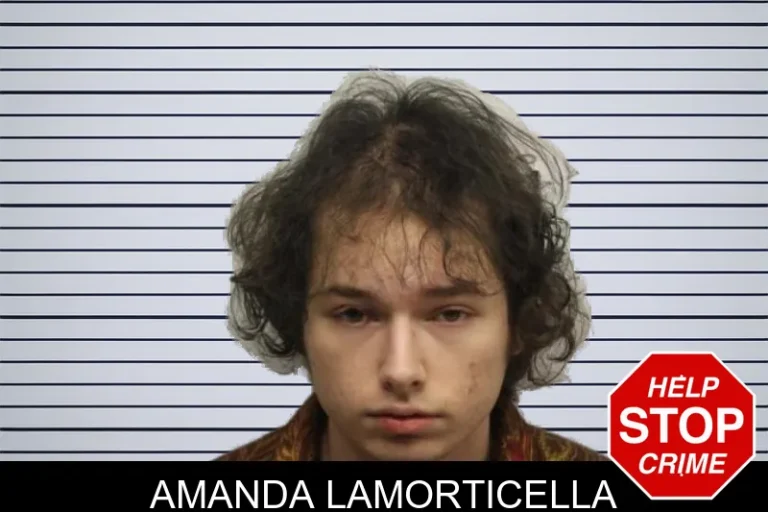 Amanda Lamorticella mugshot – Chatham County , Georgia Amanda Lamorticella