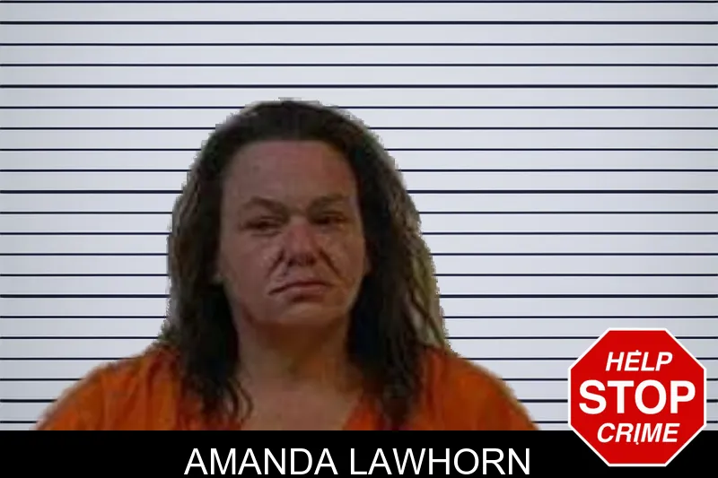 Amanda Lawhorn mugshot – Polk County , Georgia Amanda Lawhorn mugshot