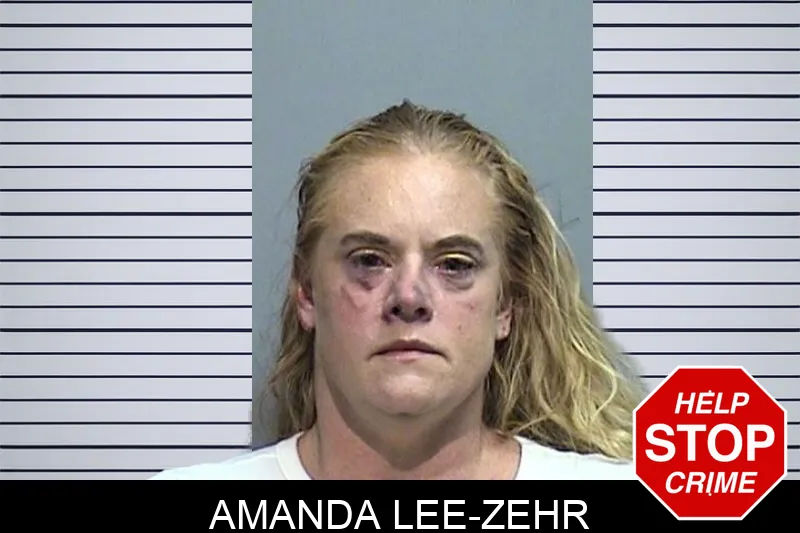 Amanda Lee-Zehr mugshot