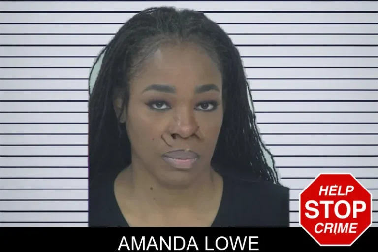Amanda Lowe mugshot – Fayette County , Georgia Amanda Lowe