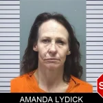 Amanda Lydick Mugshots