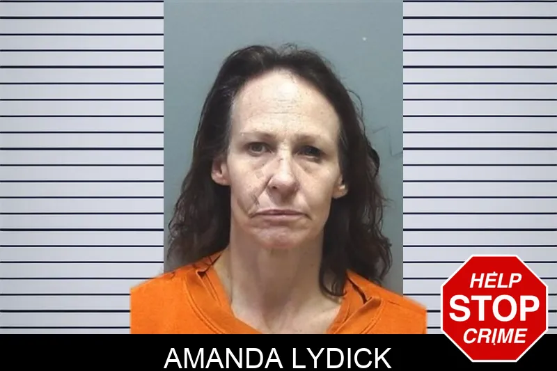 Amanda Lydick Mugshots