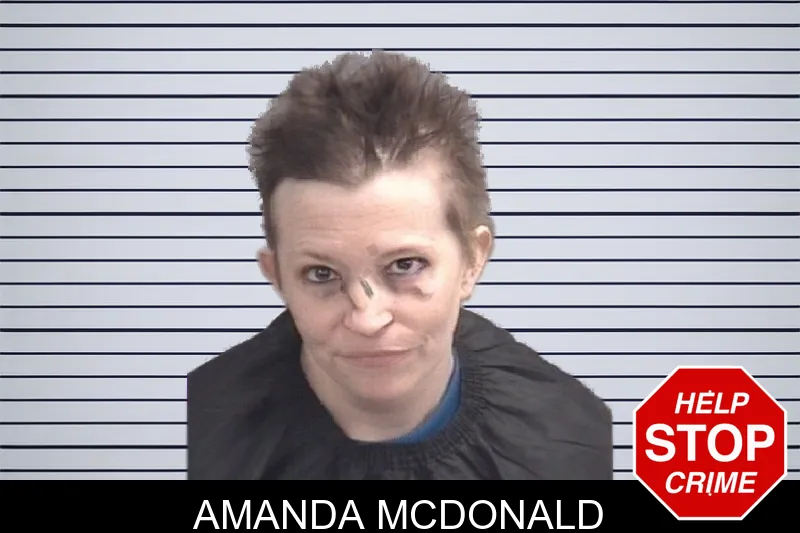 Amanda McDonald Mugshots