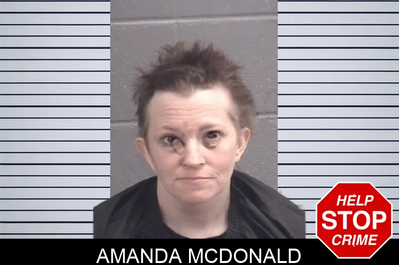 Amanda McDonald Mugshots