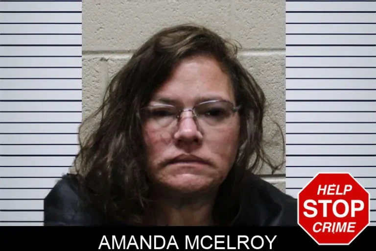 Amanda McElroy mugshot – Haralson County , Georgia Amanda McElroy