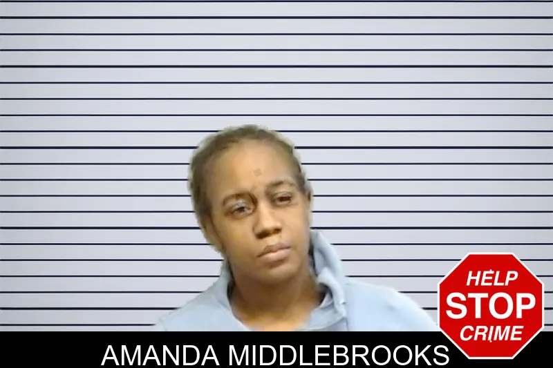 Amanda Middlebrooks Mugshots