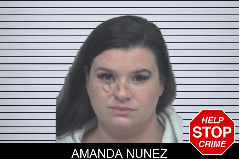 Amanda Nunez Mugshots