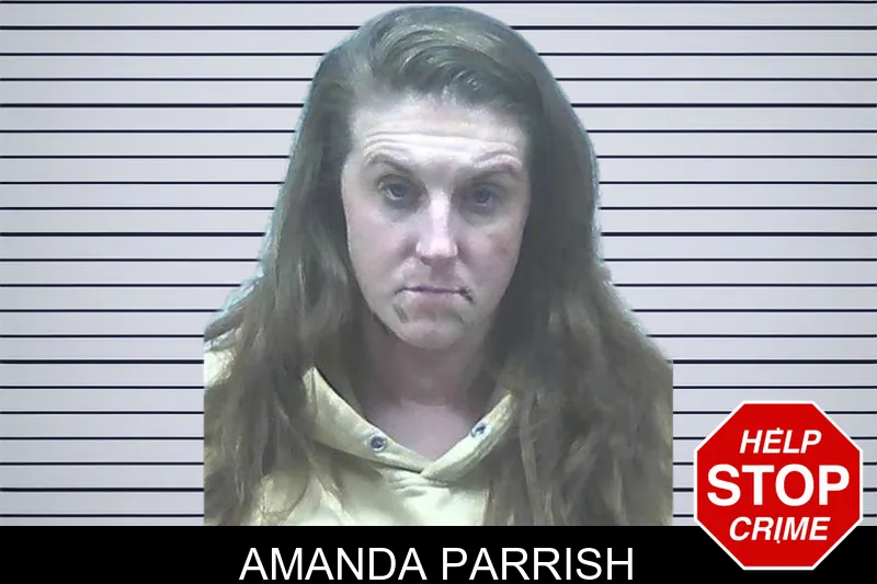 Amanda Parrish Mugshots