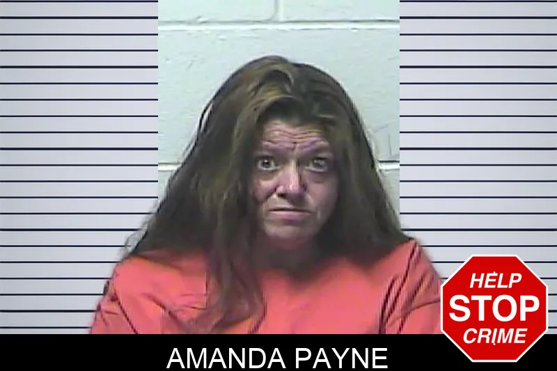 Amanda Payne Mugshots