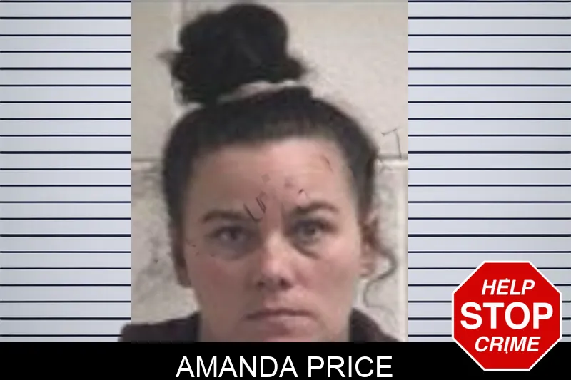 Amanda Price Mugshots