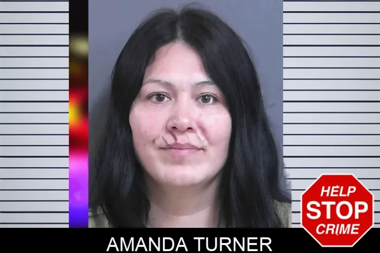 Amanda Turner mugshot – Gordon County , Georgia Amanda Turner