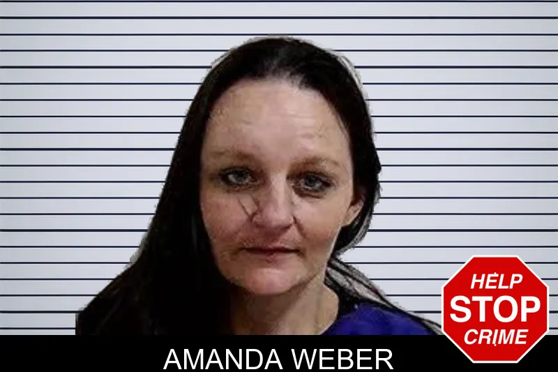 Amanda Weber Mugshots
