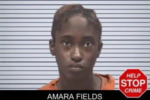 Amara Fields mugshot