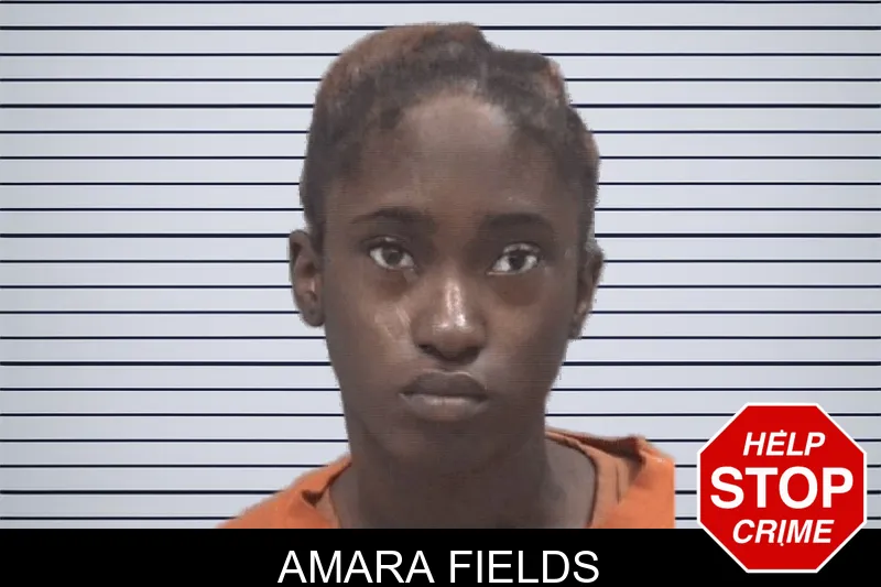 Amara Fields Mugshots