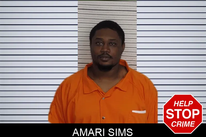 Amari Sims Mugshots