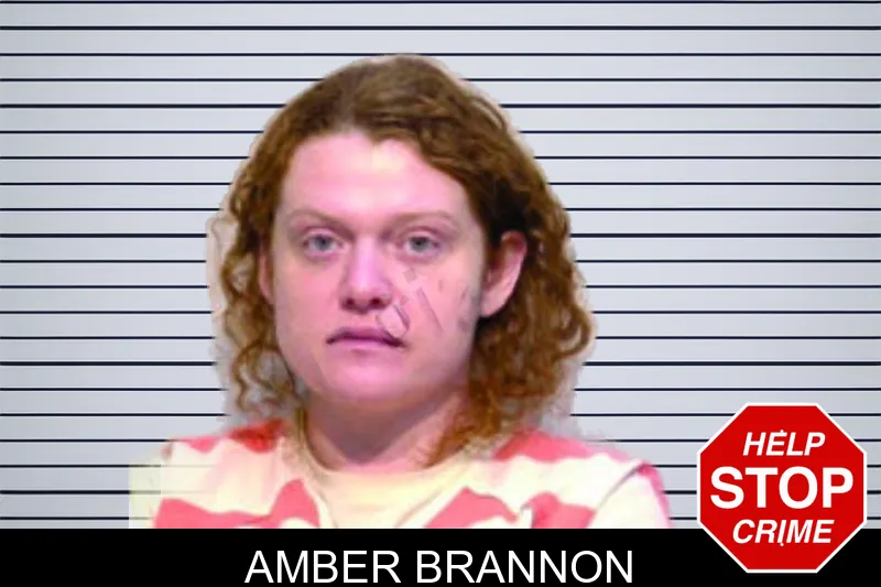 Amber Brannon Mugshots