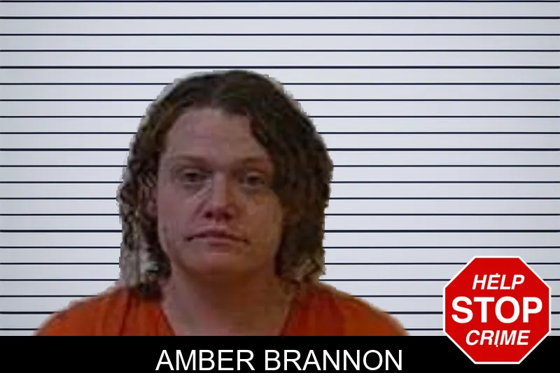 Amber Brannon Mugshots