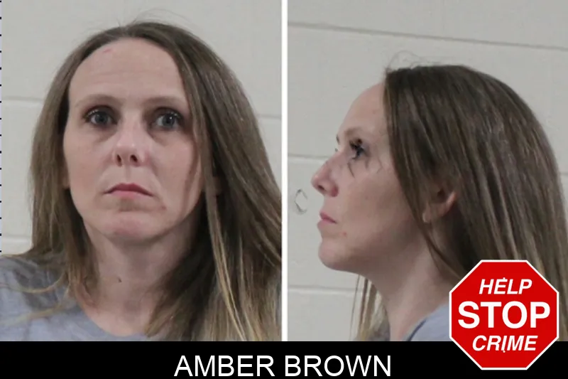 Amber Brown Mugshots