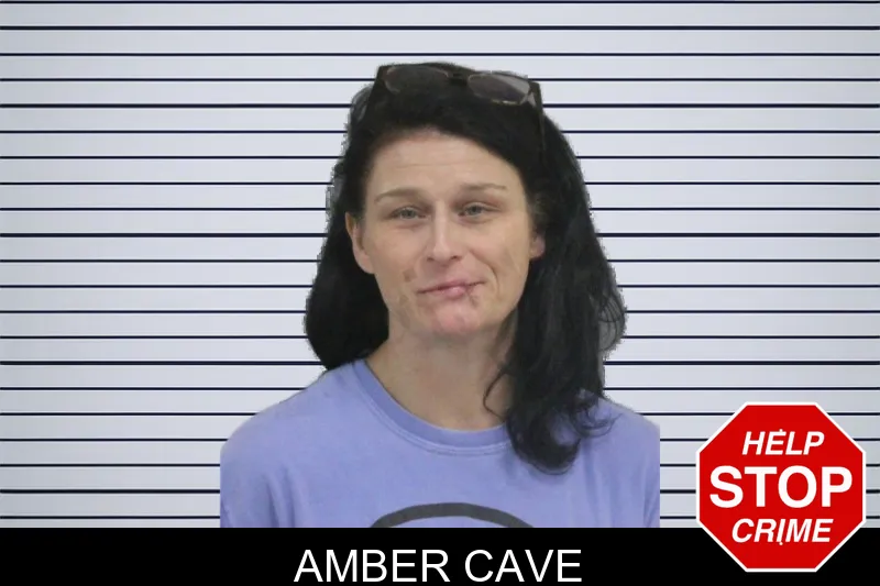 Amber Cave Mugshots