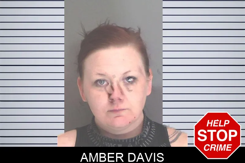 Amber Davis Mugshots