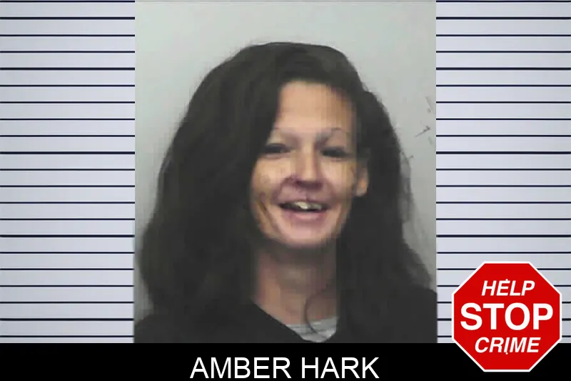 Amber Hark Mugshots