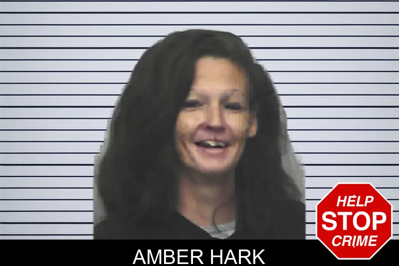 Amber Hark Mugshots
