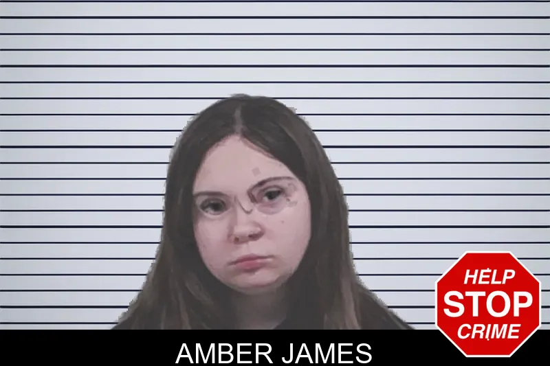 Amber James mugshot