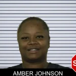 Amber Johnson Mugshots