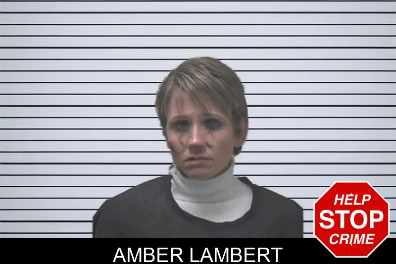 Amber Lambert mugshot