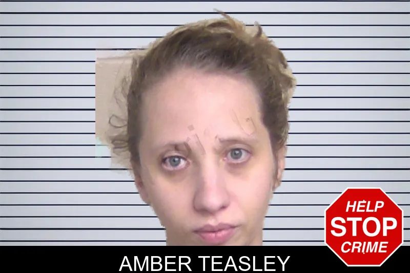 Amber Teasley Mugshots