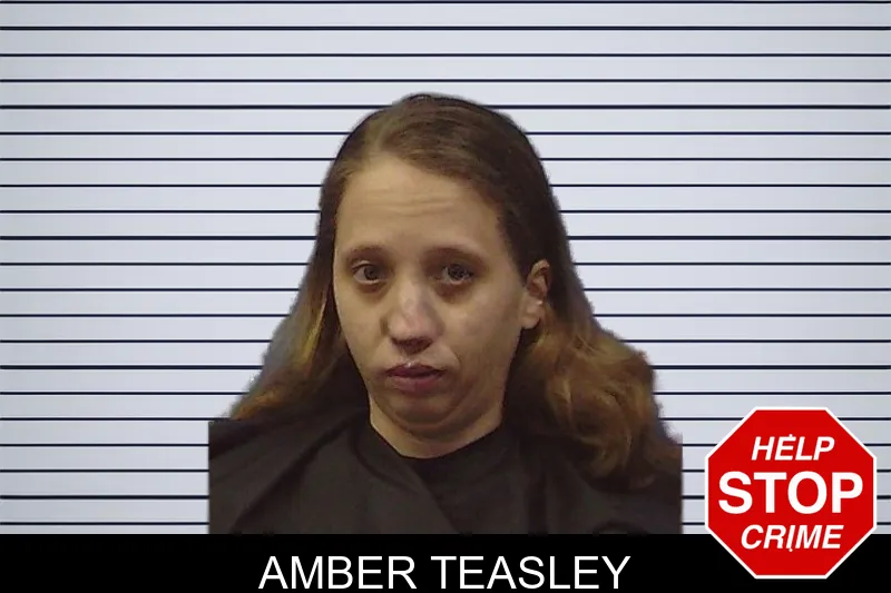 Amber Teasley Mugshots