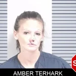 Amber Terhark Mugshots