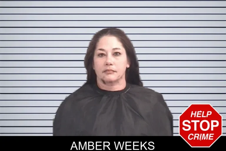Amber Weeks mugshot – Spalding County , Georgia Amber Weeks