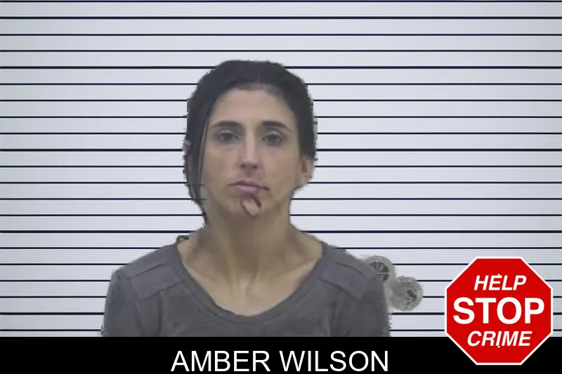 Amber Wilson mugshot