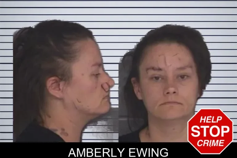 Amberly Ewing mugshot – Barrow County , Georgia Amberly Ewing