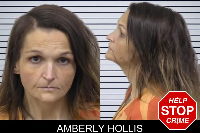 Amberly Hollis mugshot