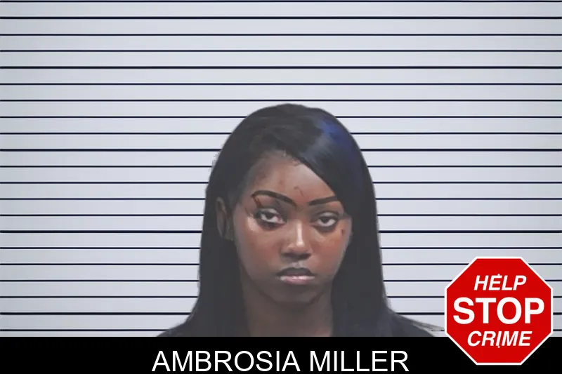 Ambrosia Miller mugshot – Lowndes County , Georgia Ambrosia Miller mugshot