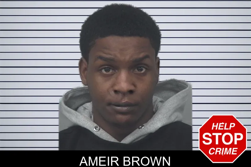 Ameir Brown mugshot