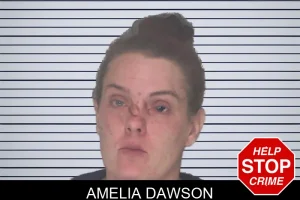 Amelia Dawson mugshot