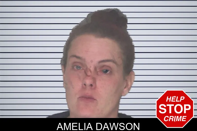 Amelia Dawson mugshot