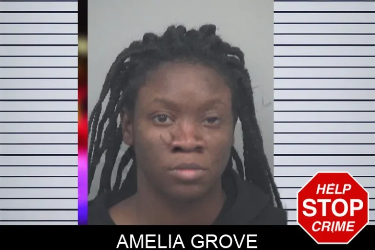 Amelia Grove