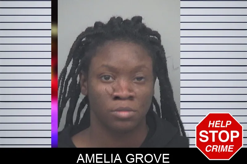 Amelia Grove mugshot – Gwinnett County , Georgia Amelia Grove mugshot