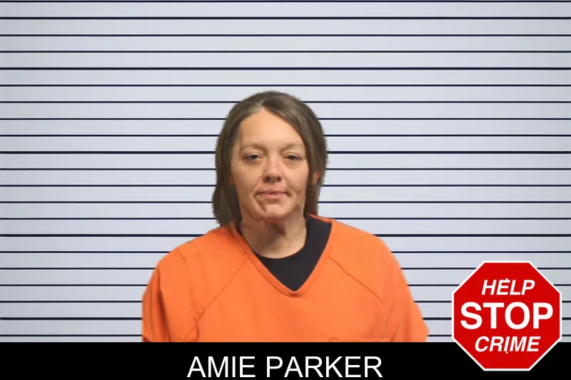 Amie Parker mugshot – Lumpkin County , Georgia Amie Parker mugshot